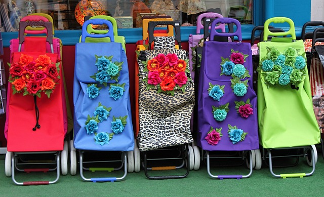 Embark on an Unforgettable Skiing Adventure with Salt Lake Ski…