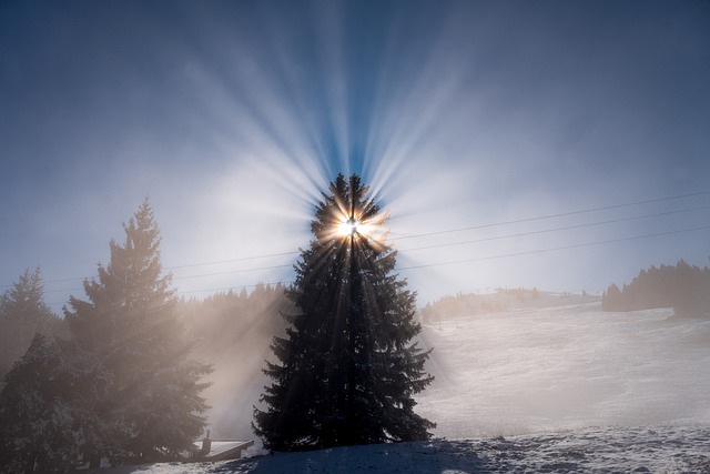 Unveiling the Gateway to Snowbird’s Winter Wonderland with Saltlakeskitrain.com TL;DR:…