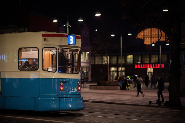 Soar to New Heights: Unveil the Enchanting World of Park…