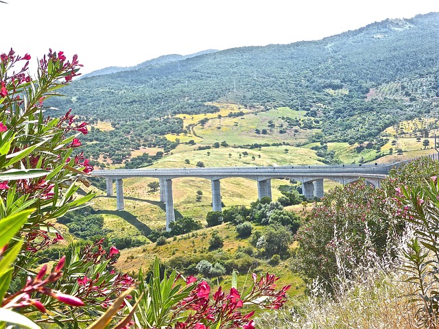 Glide into Adventure at Cottonwood Connect with Saltlakeskitrain.com TL;DR Indulge…