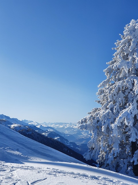 UberSki Alta: Your Ultimate Private Ski Getaway TL;DR: Experience the…