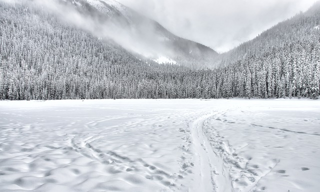 Discover the Untamed Slopes of Heber Valley with Salt Lake…