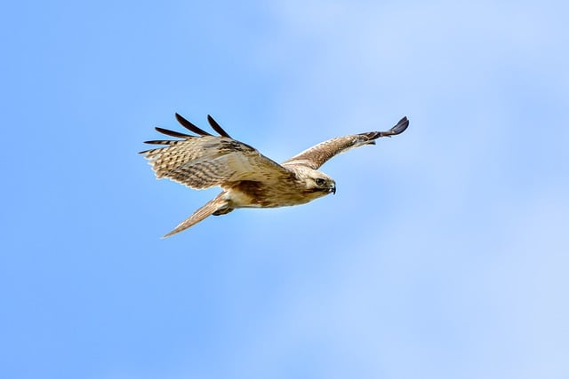 Sky Tram: Your Magical Gateway to Woodward’s Winter Wonderland TL;DR:…