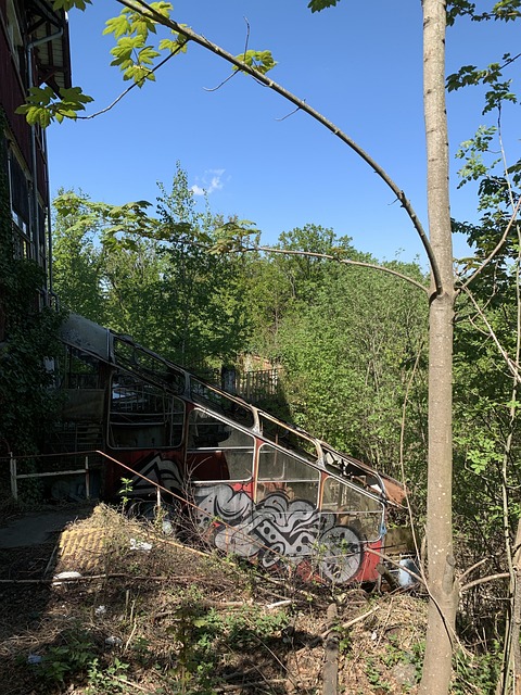 Unveiling the Snowbird Funicular: A Scenic Ride to Ski Paradise…