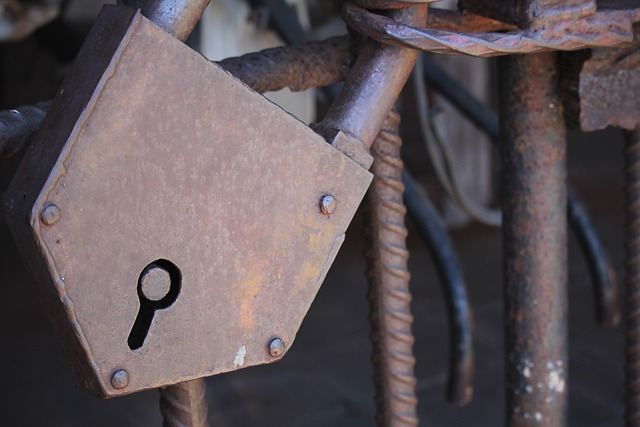 Uncover the Ultimate Snowbasin Ski Adventure with Private Transportation from…