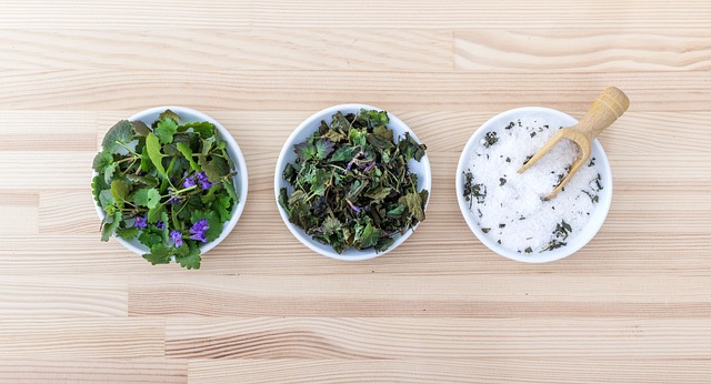 Skiing Unbound: Discover Park City’s Hidden Jewel, Salt Lake Ski…