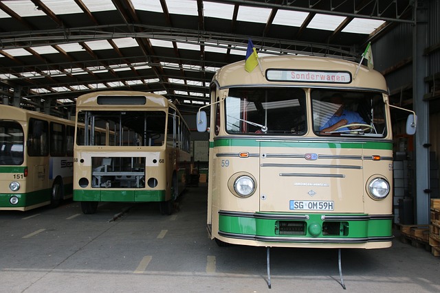 Your Ultimate Guide to Deer Valley Resort via SaltLakeSkiTrain.com TL;DR:…