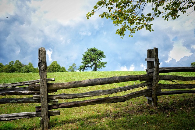 Glide to Brighton Resort with Salt Lake Ski Train: The…