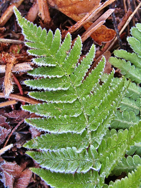 Unleash Your Ski Adventure at Cottonwood Connect with SaltLakeSkiTrain.com TL;DR:…