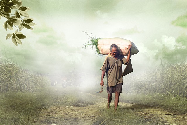 Prepare for the Thrill of a Lifetime: Master Skiing in…