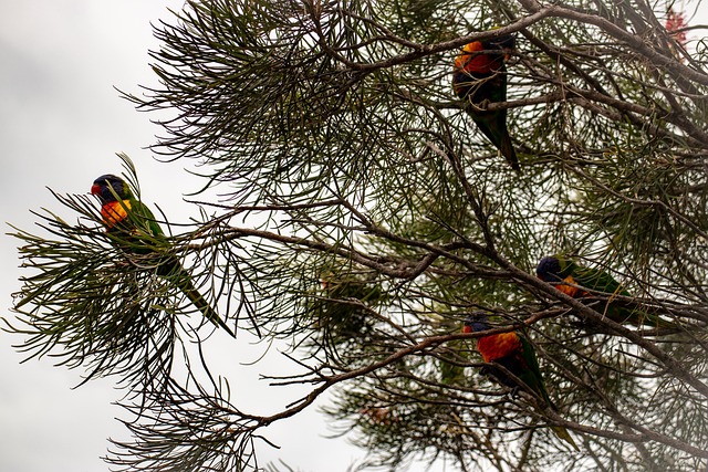 Embrace the Serenity: Cottonwood Connect in Alta with SaltLakeSkiTrain TL;DR:…