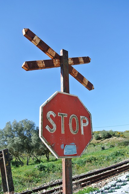 Indulge in a Ski Adventure with SaltLakeSkiTrain: Your Gateway to…