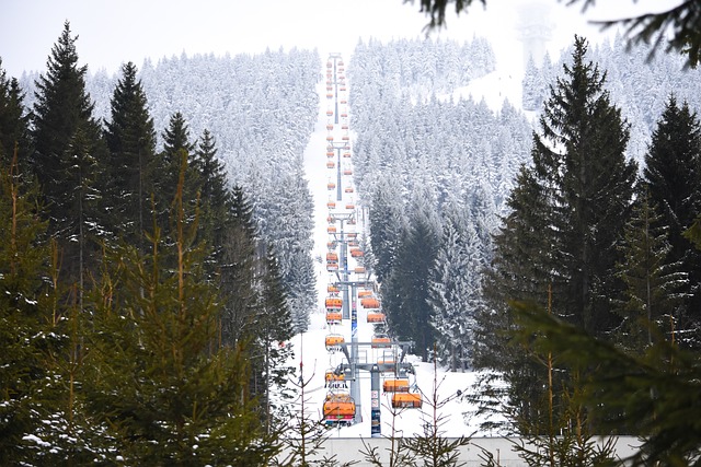 Utah Ski Resort Transit: Your Gateway to Deer Valley’s Pristine…