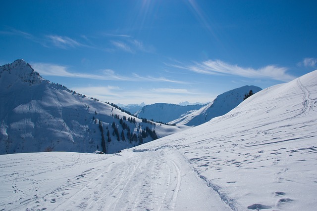 Ski to Snowbird’s Slopes with Confidence: Your Gateway to Unforgettable…