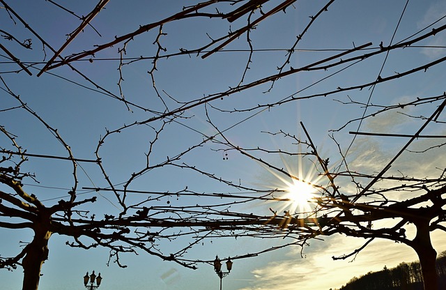 Discover the Gateway to Utah Ski Bliss: Cottonwood Connect in…