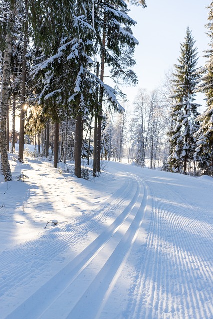 Discover Your Skiing Nirvana with Ski Super Pass in Woodward!…