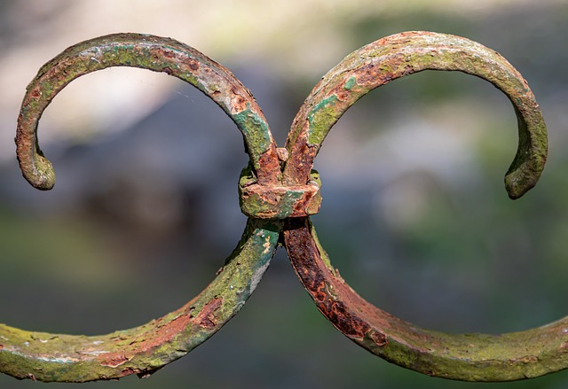 The Ultimate Guide to Cottonwood Connect at Alta: A Skier’s…