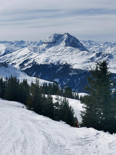 Conquer Alta with SaltlakeskiTrain: Your UberSki to Epic Skiing TL;DR…