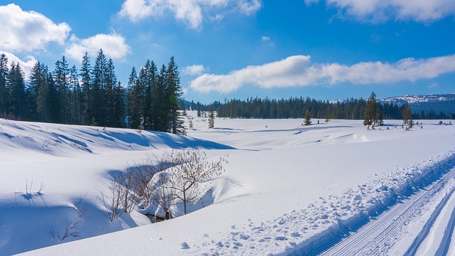 Experience the Thrill of Utah’s Slopes with Brighton’s Gondola TL;DR:…