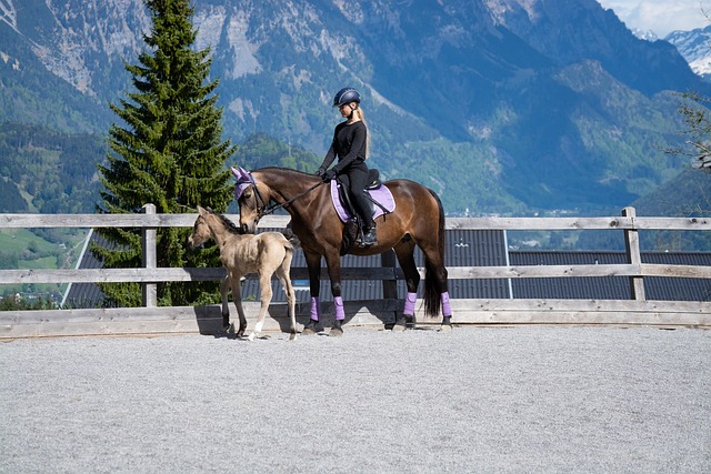 Glide into Solitude: Unforgettable Ride-Share Experiences to the Slopes TL;DR:…