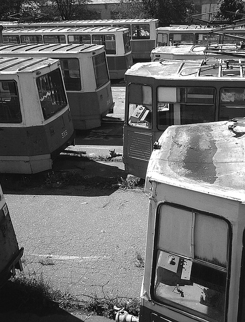 Park City’s Sky Tram: An Unforgettable Mountain Adventure TL;DR: Discover…