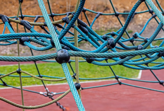 The Ultimate Guide to Cottonwood Connect: Your Gateway to Park…