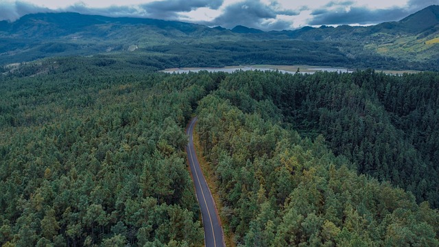 Ride the Aerial Tramway to Park City’s Peak Experience TL;DR:…