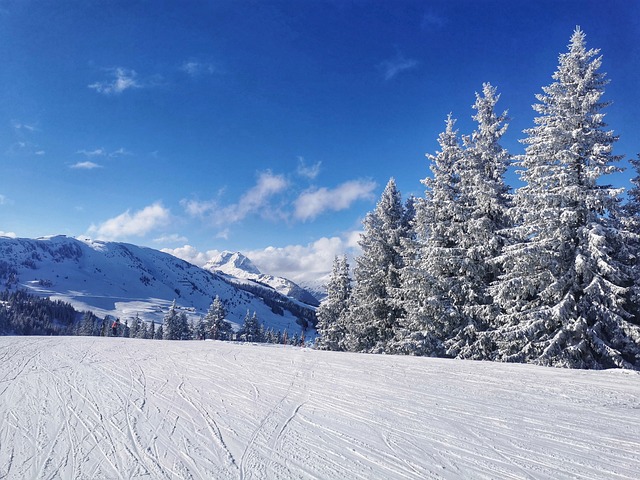 Ski Season? Salt Lake Ski Train to the Rescue! TL;DR:…