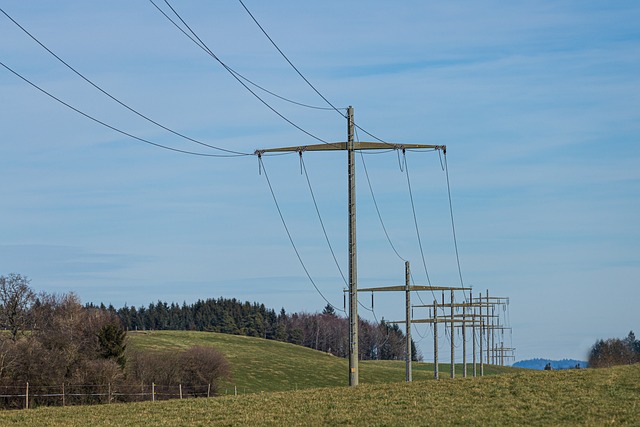 Cottonwood Connect: Your Ultimate Guide to Unlocking Alta’s Winter Magic…