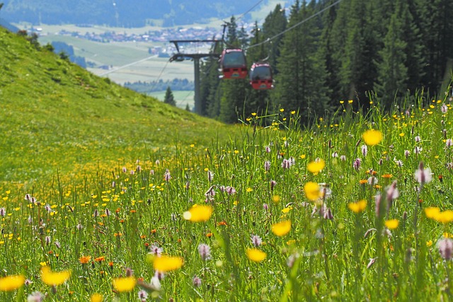 Cable Cars to the Salt Lake Area’s Best Ski Towns:…