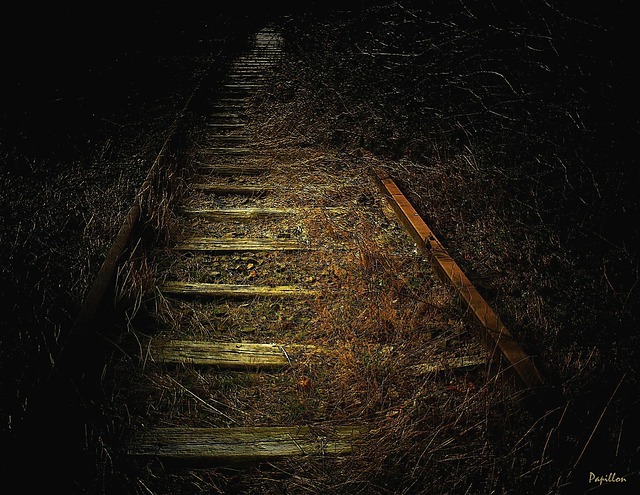 Experience Unparalleled Ski Excursions with SaltLakeSkiTrain.com! TL;DR Hop aboard saltlakeskitrain.com…