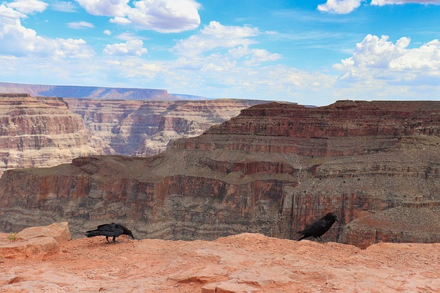 Get Ready for an Unforgettable Ski Adventure with SaltLakeSkiTrain to…