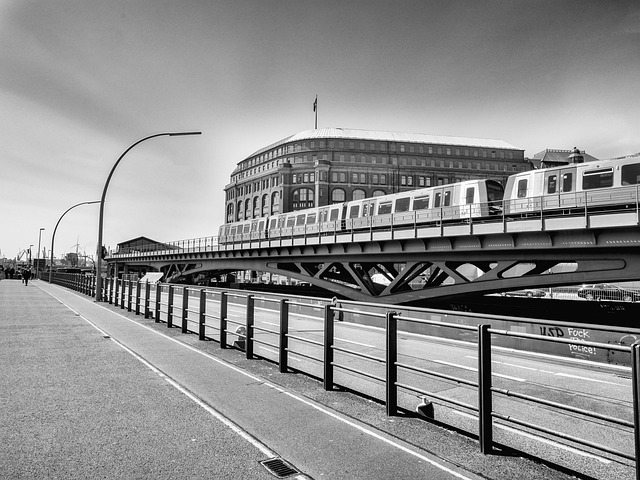 Discover Skyline Sky Tram: Your Gateway to Woodward’s Winter Wonderland…