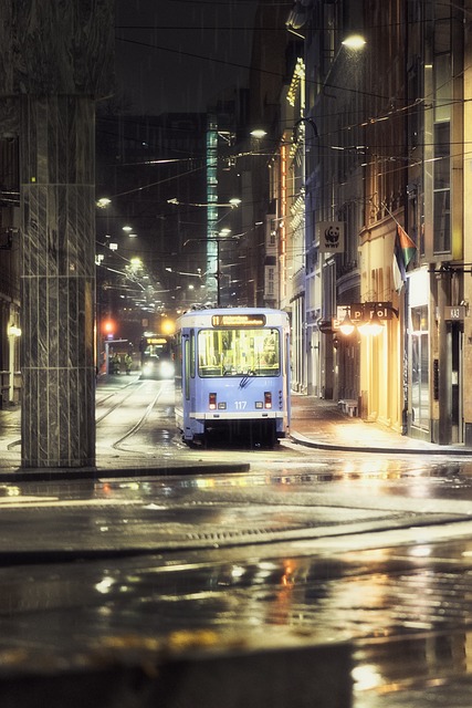 Glide through Winter Wonderlands with Private Transportation to Salt Lake…