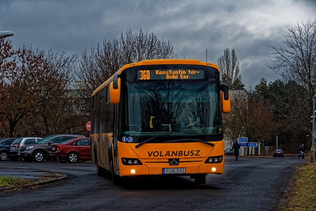 7th Grade Guide to Salt Lake City Ski Resorts with…