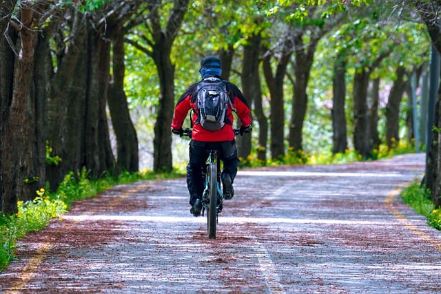 Ride-Share to Snowbird with SaltLakeSkiTrain: Your Ultimate Ski Adventure TL;DR:…