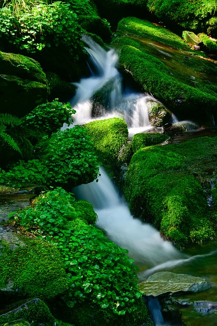 Headline: Glide with Grace: Experience the Thrill of UberSki in…