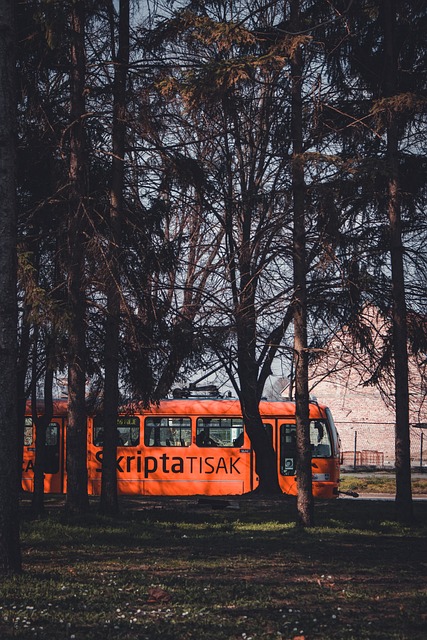 Discover the Sky Tram at Solitude Mountain Resort: An Unforgettable…
