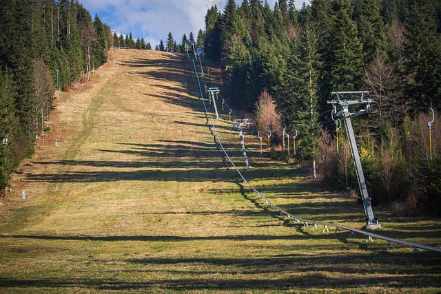 Discover the Ultimate Ski Resort Transit to Snowbird TL;DR: Experience…