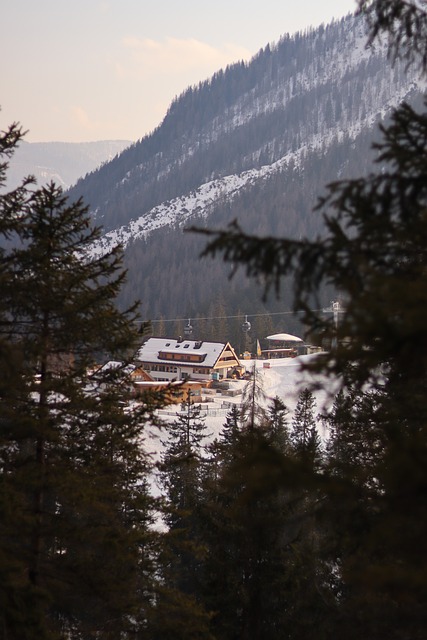 Your Ultimate Guide to Reaching the Pristine Slopes of Powder…