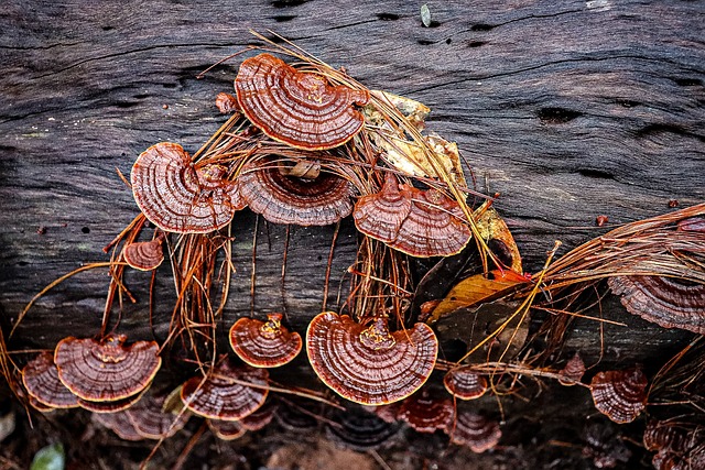 Cottonwood Connect: Your Gateway to Solitude’s Unforgettable Ski Adventures TL;DR:…