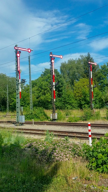 Glide to the Slopes with SaltLakeSkiTrain: Your Gateway to Snowbasin’s…