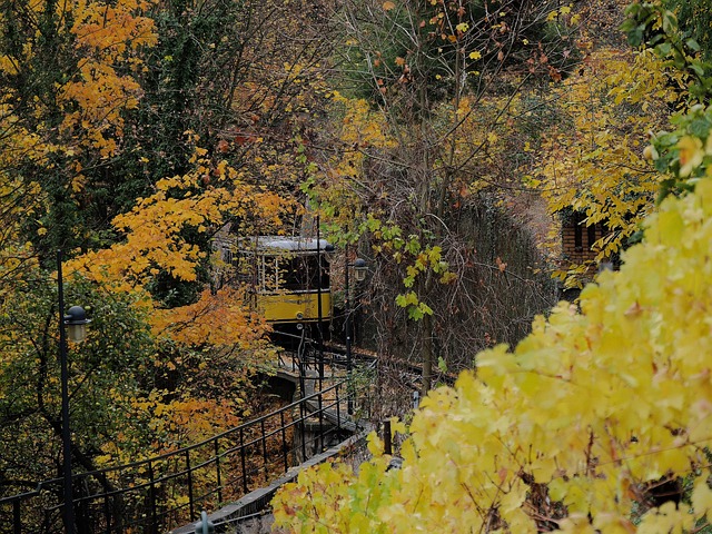 Headline: Experience the Thrill of Brighton’s Scenic Funicular with SaltLakeSkiTrain…