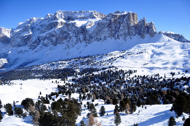 Discover the Ethereal Slopes of Alta with Saltlakeskitrain.com TL;DR: Elevate…