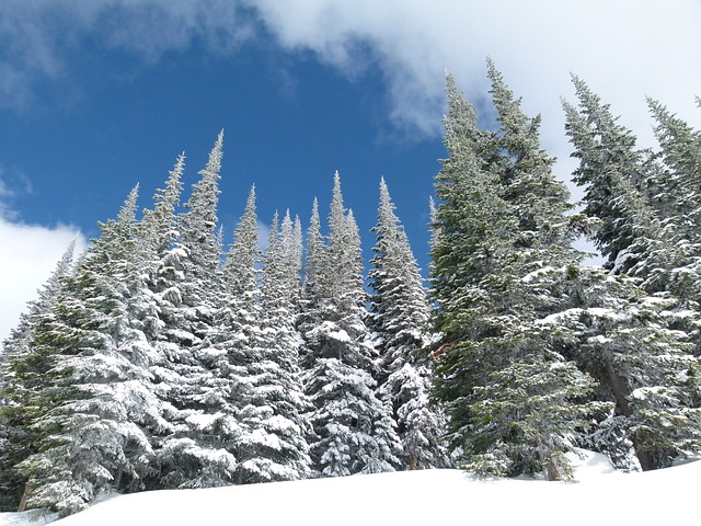 Ski Nirvana: Effortlessly Glide to Snowbasin Resort with saltlakeskitrain.com TL;DR:…