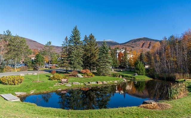 Unlock Your Winter Adventure: Cottonwood Ski Resort Transit in Heber…