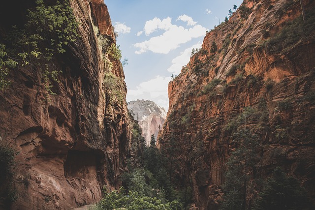 Unveil the Exhilarating Ski Mecca of Alta with Canyon Transportation…