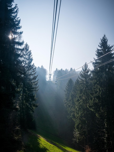 Experience the Sky-High Thrill of Alta’s Cable Car TL;DR: Embark…