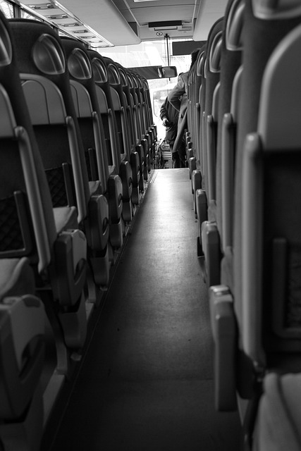 Ski Bus to Snowbird: Your Ultimate Guide TL;DR: Ride the…