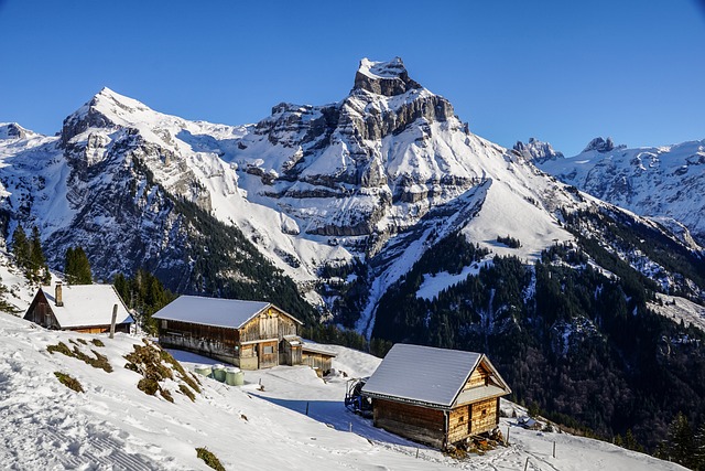 Discover the Epic Winter Paradise of Alta Ski Area with…
